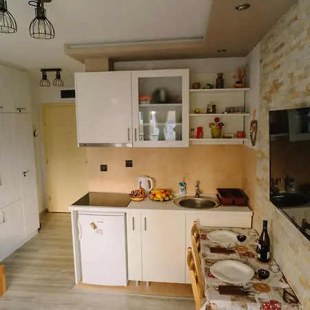 Ristic Apartment Vrnjacka Banja