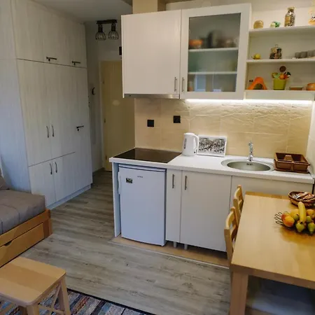 Ristic Apartment Vrnjacka Banja