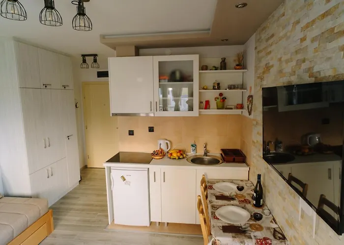 Ristic Lejlighed Vrnjačka Banja