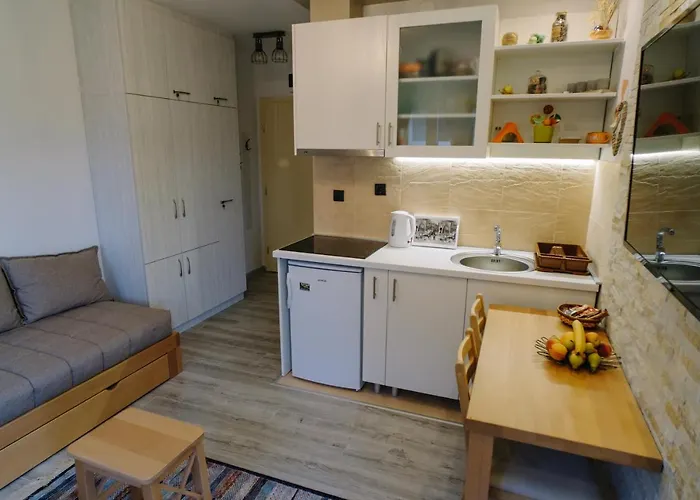 Ristic Lejlighed Vrnjačka Banja